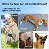 Dog Ear Straightening Patch Ear Care, Puppy Ear Correction Patch Doberman Schnauzer Adult Dog Ear Straightening Magic Tool