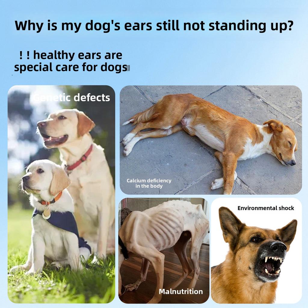 Dog Ear Straightening Patch Ear Care, Puppy Ear Correction Patch Doberman Schnauzer Adult Dog Ear Straightening Magic Tool