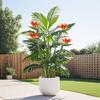 2pcs Artificial Paradise Bird Palm Hybrid Plants, Indoor and Outdoor Decoration | Elegant Leaf Design | Artificial Plant Decoration.
