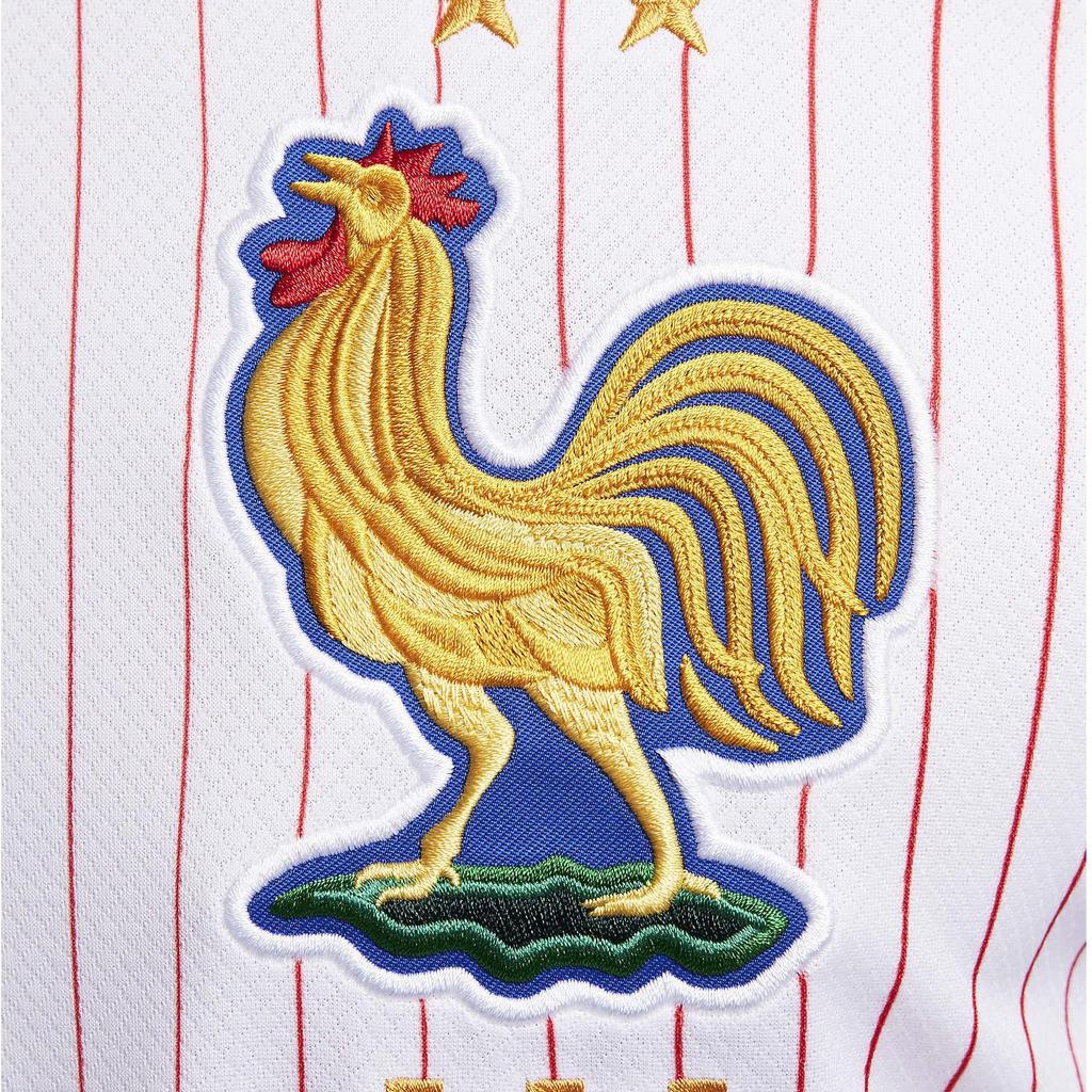 Nike Striped Round Neck Logo Print Short Sleeve Football Jersey Men Tops Blue FJ4273-100