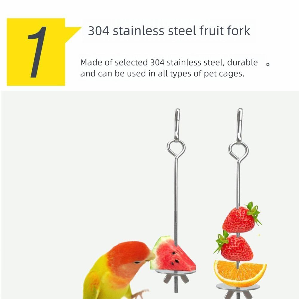 2Pcs Rust-proof Bird Cage Food Holder Parrot Fruit Skewers  For Macaw Parakeet Parrot Budgie