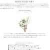 BONDI WASH Dog Conditioner Paper Bark Lemongrass 500ml &