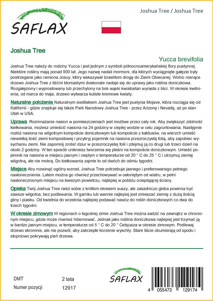 SAFLAX Joshua Tree - 10 Seeds - Yucca Brevifolia