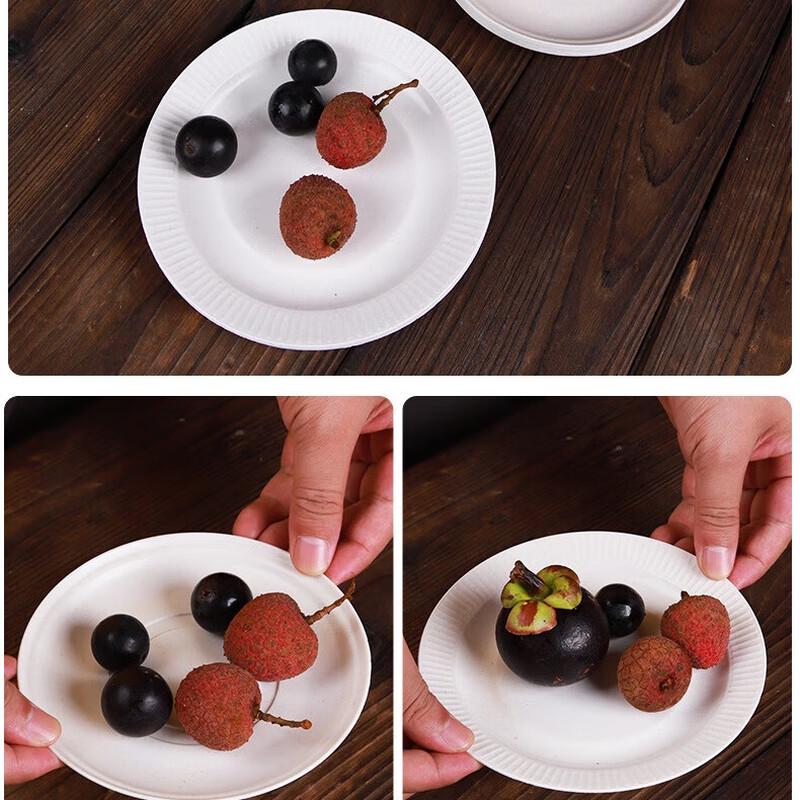 Disposable Round Plates for Parties and Home Use