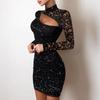 Elegant Women's Lace Hollow Knitted Bodycon Dress with Glittering Highlights.