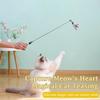 Interactive Teaser Wand with Wood Handle, Spring, Feather & Bell - Replaceable Toy for Indoor Cats