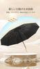 Folding Automatic Opening and Rebound UV Fruit Glass Wind Rainy Season Sunny and Rainy Day Blackout and Heat Wind High For School and 8 Colors