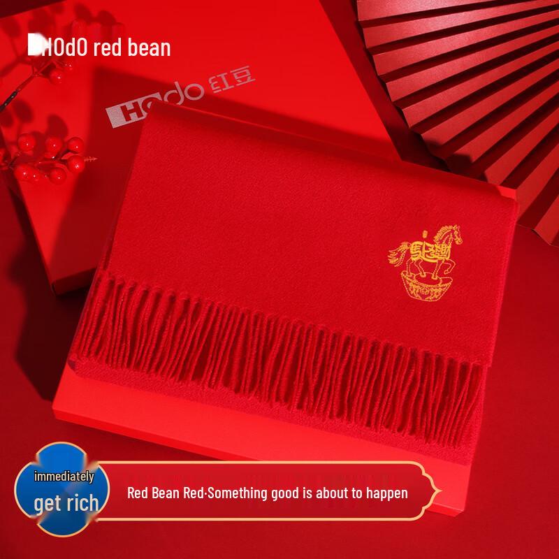 

Hodo Women s 100% Pure Wool Embroidered Scarf 180cm×30cm