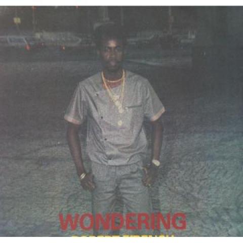

LP Record ROBERT FFRENCH Wondering 333LP002 333 1985 UK Reggae Ska Dub