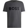 Mens Big Logo Regular T-Shirt