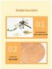 Montessori Plant & Animal Life Cycle Educational Toy Set for Early Learning