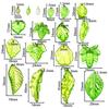 10-100Pcs Green Acrylic Leaf Charms Leaves Beads Pendants For Diy Necklace Bracelet Earrings Jewelry Making Handmade Crafts
