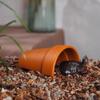 Decorative Fish Spawning Cave Breathable Crab Safe House Fish Shrimp House  Tank Landscaping