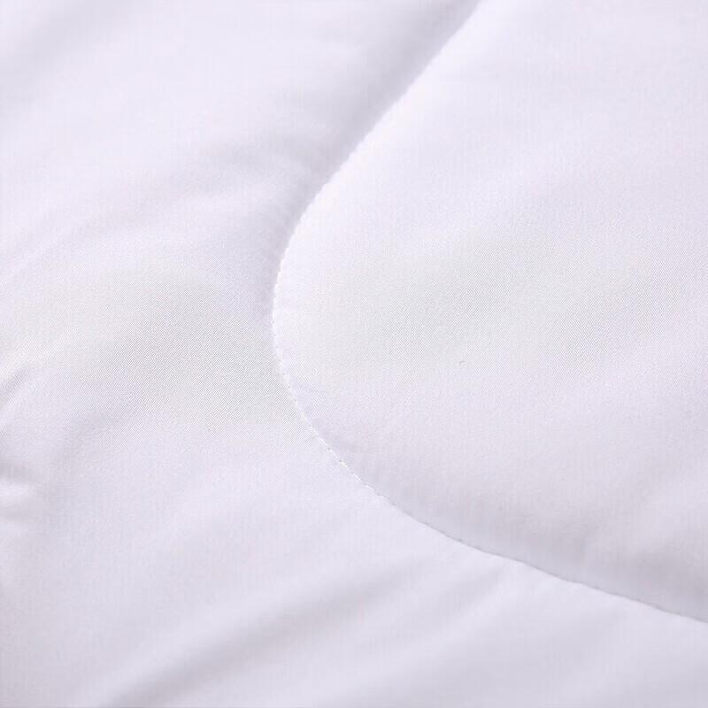 Fuanna Warm Winter Fiber Comforter