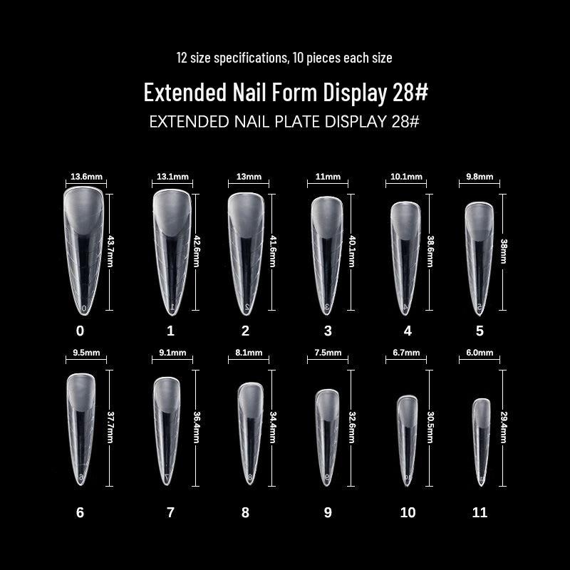 Crystal Nail Extension Molds - 120 Pcs Boxed Nail Tips with Scale for Gel Extensions