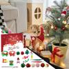 Christmas Advent Cat Toy 24 Days Interactive Kitten Exercise Toys For Men Women Boys Youth Teens Wife Husband Son Daughter