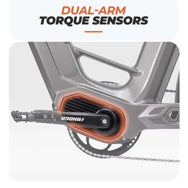 MIHOGO Air Carbon Fiber Frame Adult Electric Bike 250W Electric Bike 48V19.2AH Electric Bike 26" Inflatable Tires City Electric Bike