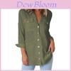 Elegantes einfarbiges Chiffon-Damenhemd-Top für lässige Herbst-Outfits
