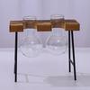Wooden Frame Hydroponic Planter with Glass Bulb Transparent Container Flower Arrangement Desktop Decoration Home Office