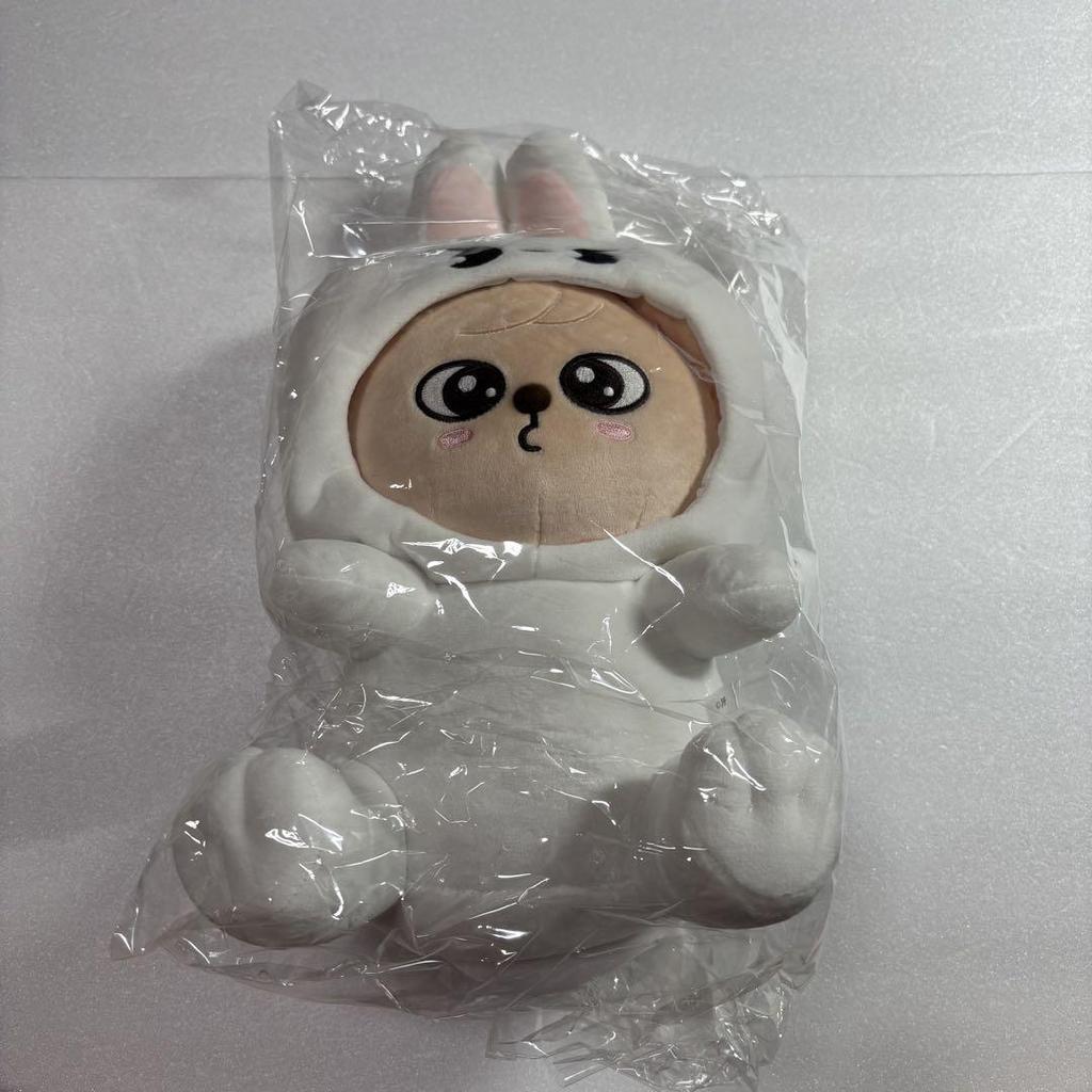 [USED] Stray Kids PuppyM Seungmin Plush Toy
