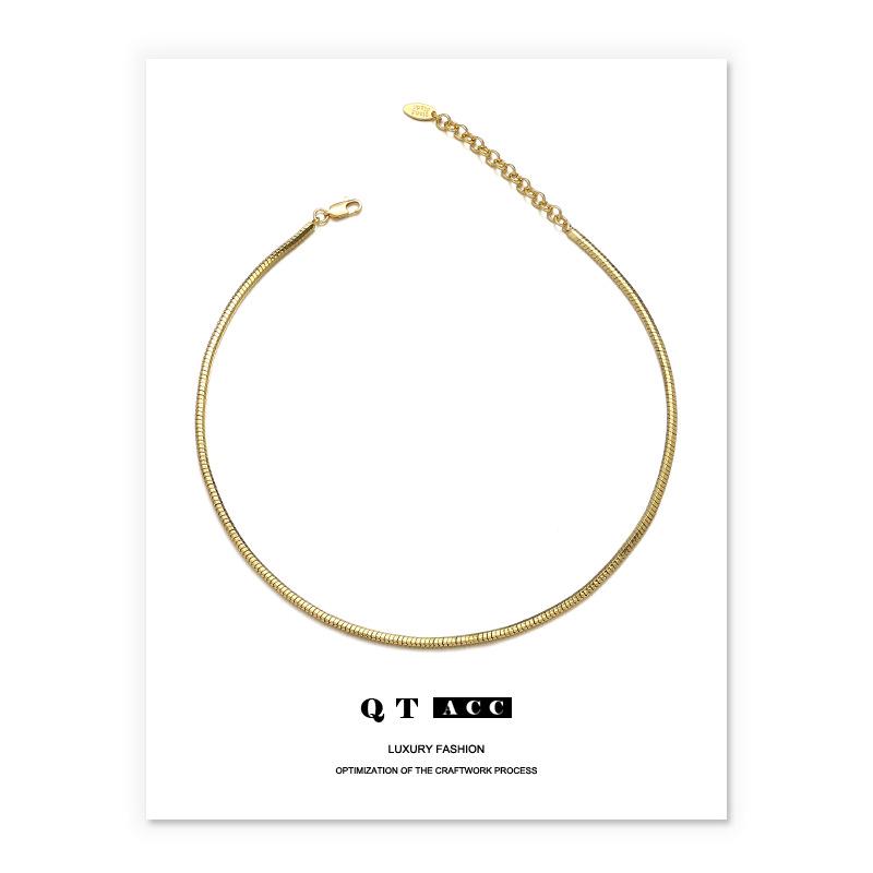 

Ожерелье-цепочка «Змеиная кость» с позолотой 18 карат - Модный европейский и американский стиль для женщин золотой