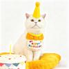 8sets Pet Birthday Party Supplies Small Hat Bib Decoration Saliva Towel Ins-Style Dog Cat Happy Birthday Felt Hat