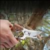 A Modern Carbon Steel Pruning Shear with Japanese SK5 Steel Blades, Featuring an Ergonomic Wooden Handle, Heavy-Duty Side-Cutting Scissors Designed