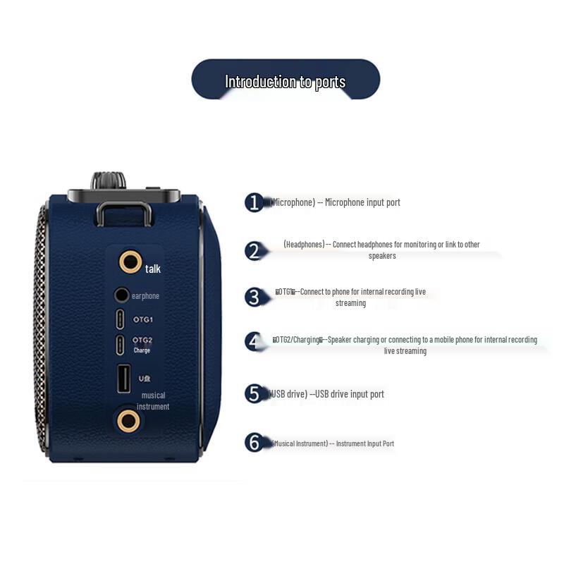 Shanghao S4 Portable Musical Instrument Amplifier (CN version)