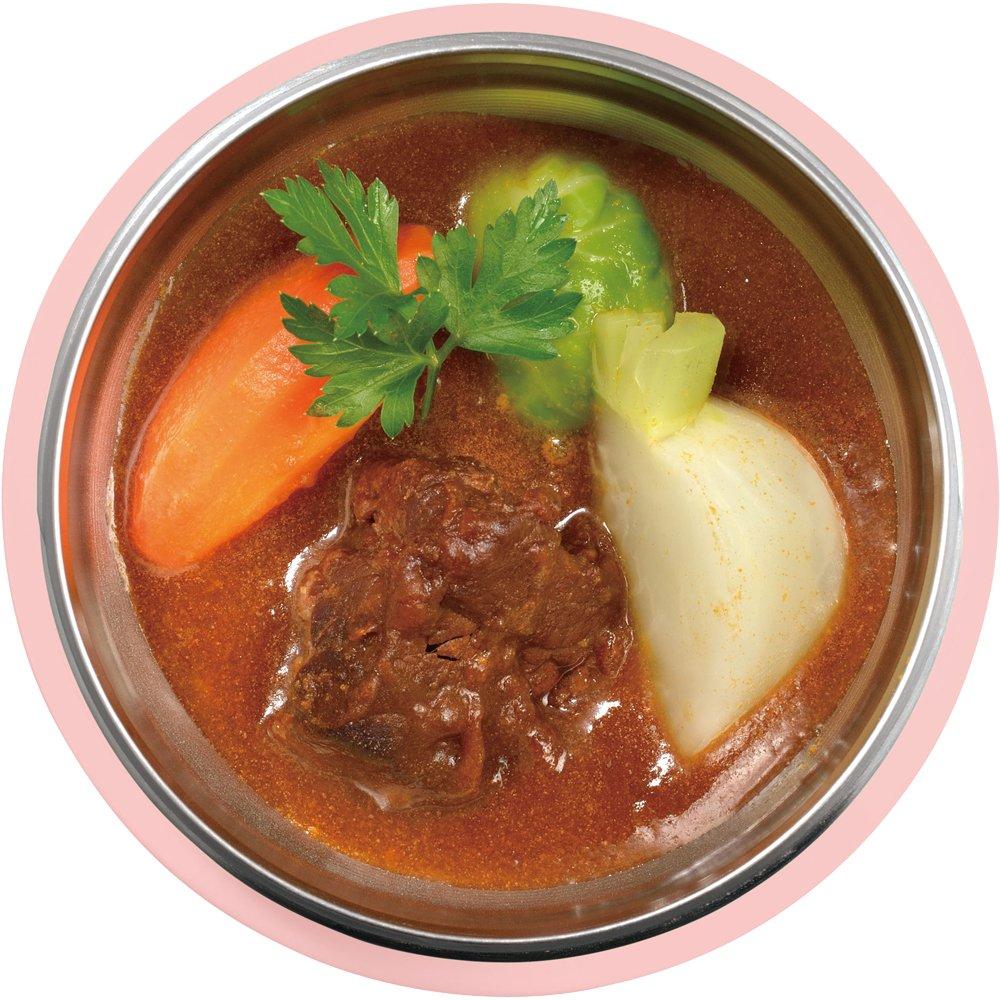 Thermos Vacuum Insulated Soup PCH Jar, 270ml, Peach, JBI-273