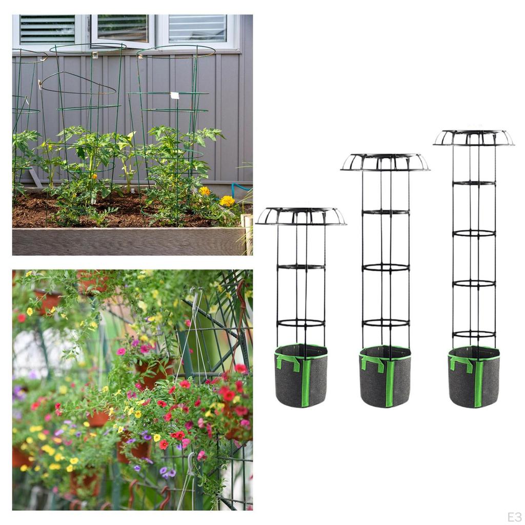 Metal Garden Trellis for Climbing Vegetables And Flowers