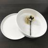 Wutuo Dinner Plate and Salad Bowl Set