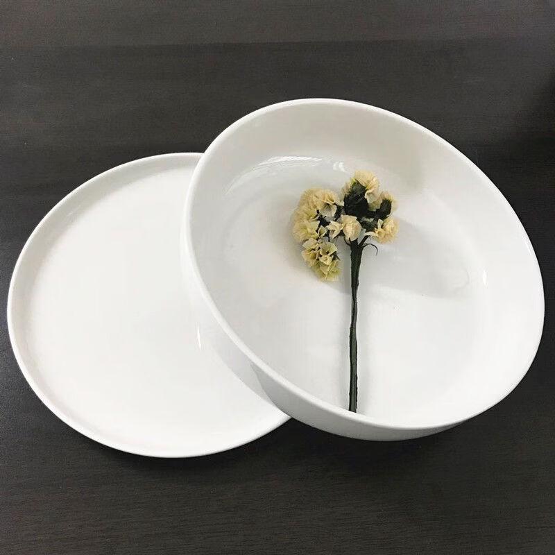 Wutuo Dinner Plate and Salad Bowl Set