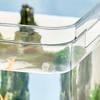 DIY Fish Tank Sturdy Easy To Clean Desktop Clear Aquarium Decoration for Household Living Room