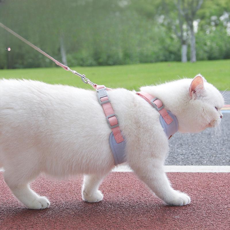 1pc Cat Leash, Vest Type Chest Strap, Adjustable Anti-break and Anti-get Lost Collar, Dog Leash, Pet Leash