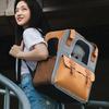 Portable Pet Cat Carriers Breathable Mesh Dog Backpack Foldable Large Capacity Cat Carrying Bag Outdoor Travel Bag Pet Supplies