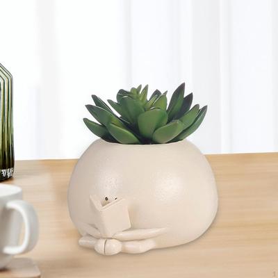 עיצוב הבית – עציצים דקורטיביים