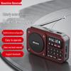 Lettore Radio Portatile Newmine N123 Spina CN (adattatore incluso)