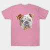 T Shirt Women English Bulldog Face Harajuku Print Kawaii Tshirt Summer Short Sleeve Female T-Shirt Top Tee