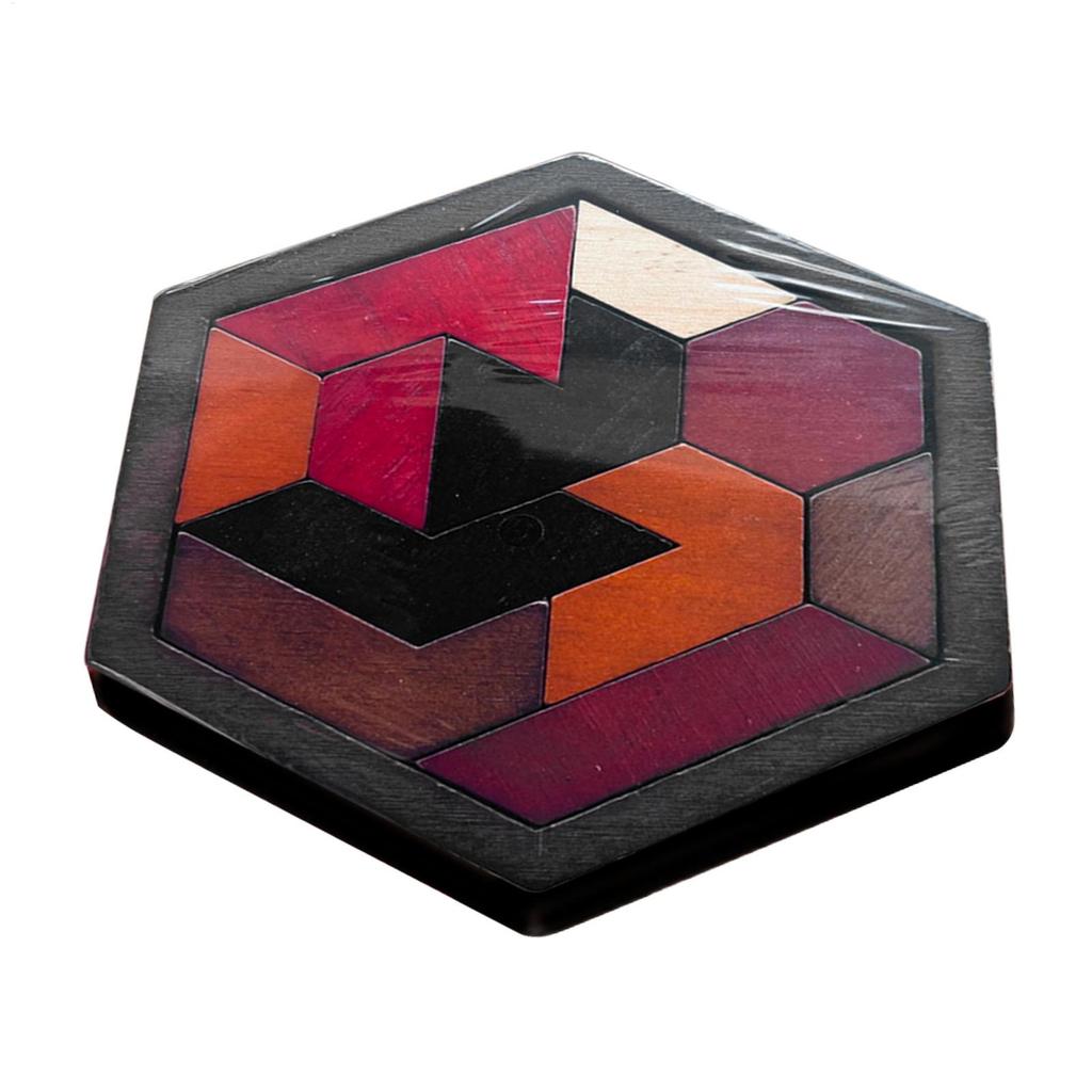 New Wooden Puzzle Brain Teaser Puzzles Set Geometric Block Logic IQS STEM Montessori Toy For Kid Adult Intelligence Challenges