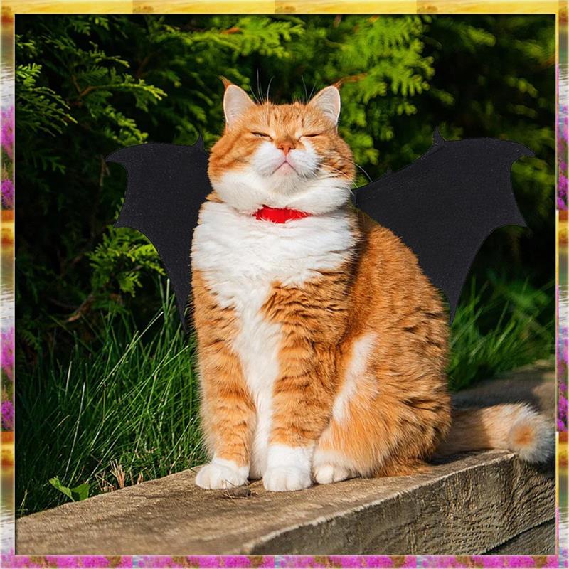 Aug. Festive Halloween Dog Costume Bat Wings Outfit For Club Outdoor Dress Up For Dogs Prop B