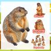 8 sztuk Figurka Świstaka Rzeźba Świstaka Prezenty na Dzień Świstaka Marmot Statua Ogrodowa Ozdoba Trawnika Mini Zwierzątko Model Świstaka