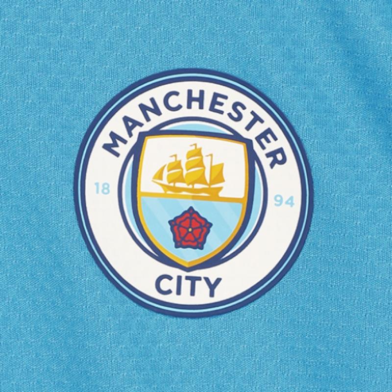 Puma Manchester City Training 1 4 Zip Top