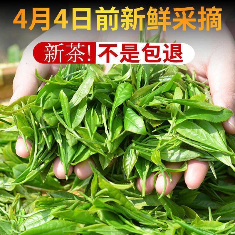2022 Xinyang Maojian Chinese Green Tea Packing High Quality Mao Jian Tea 250g