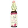 Original Flower Remedies, Pine, 10Ml(0.35Fl Oz)