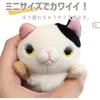 Shinada Global Mochi Series Mochi Cat Calico Mini Plush Toy 7x5x14cm Animal MONE-0088M