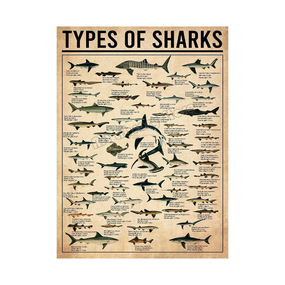 Retro Types of Dragon,Sharks,Octopus,Dinosaur Animals Knowledge Poster Canvas Painting Wall Art Pictures Home School Decor