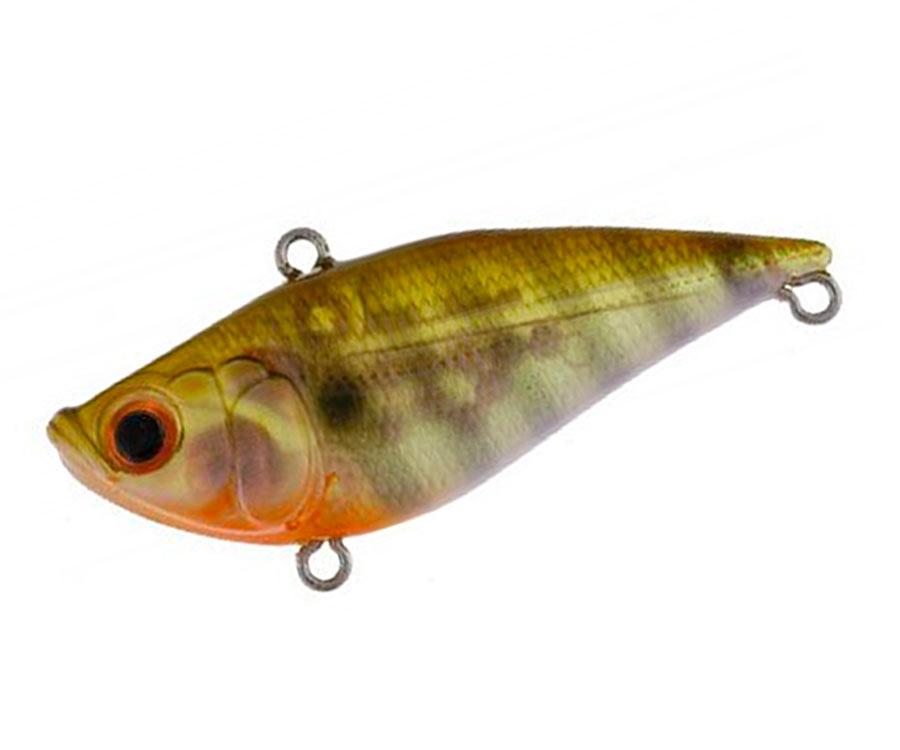 Propriétaire Wobbler C'ultiva Mira Vibe 60S 59