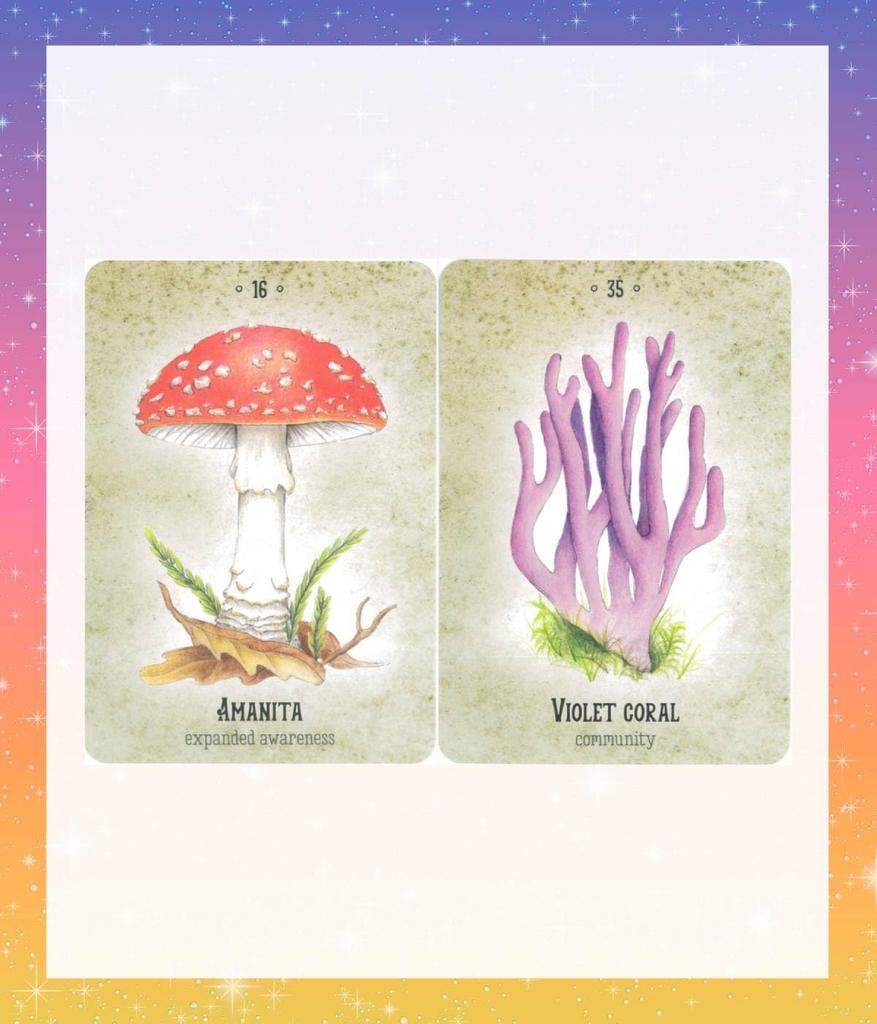 Mushroom Spirit Japanese Instruction Manual Oracle Tarot Fortune Telling Oracle, Included, Cards, Cards, [Authentic]
