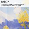 Noren Kobo Seasonal Rape Blossom Room Privacy 85cm Wide X 150cm by Naoko Four Seasons Fuji Rape Blossoms and 11233 Noren, Spring, Tapestry, Divider,