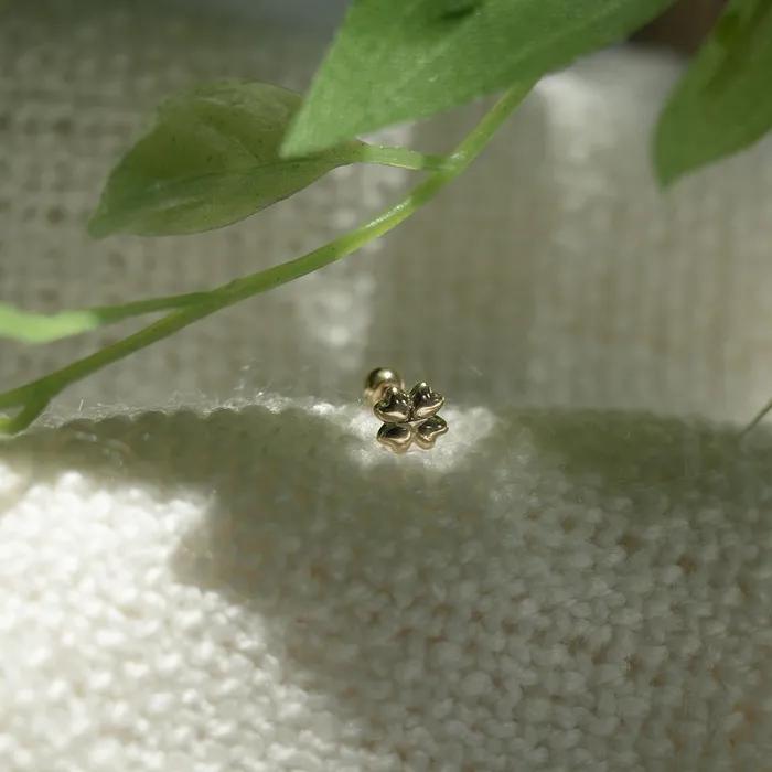 14k star clover piercing